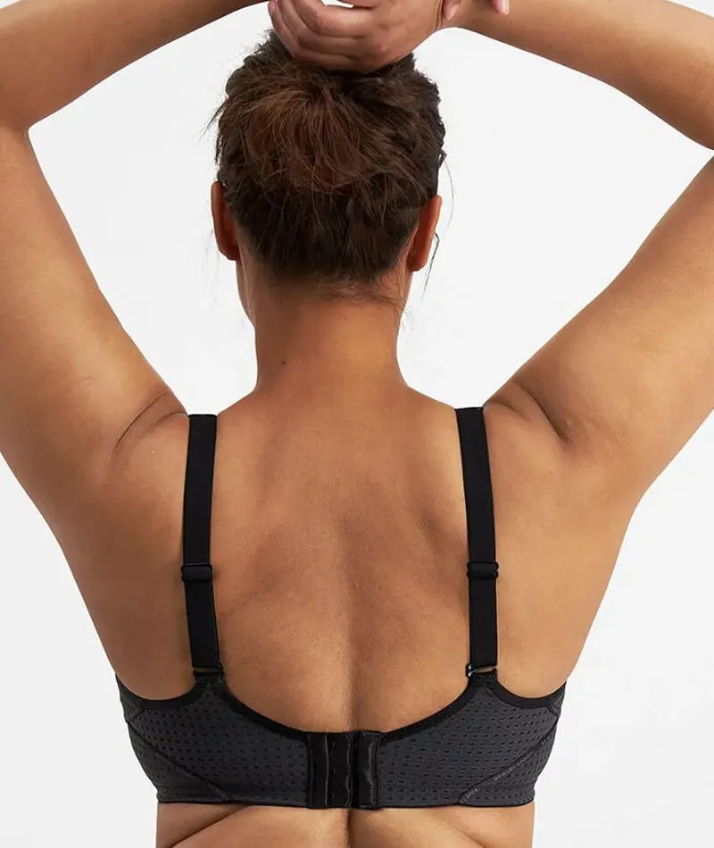 Berlei Electrify Mesh Contour Sports Bra - Black