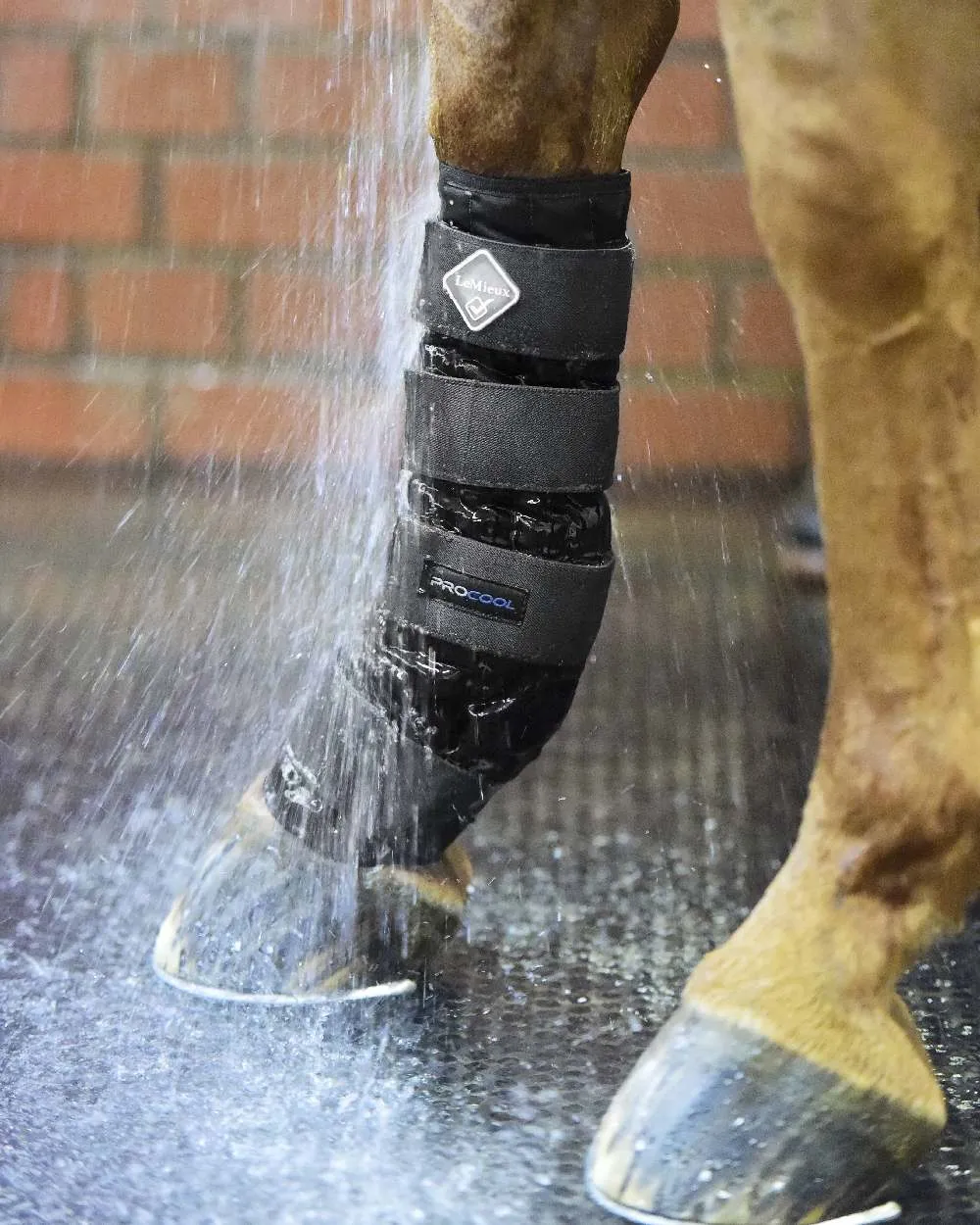 LeMieux Cold Water Boots