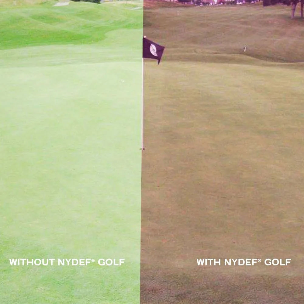 NYDEF® GOLF | POPSTAR | Violet | Small Fit